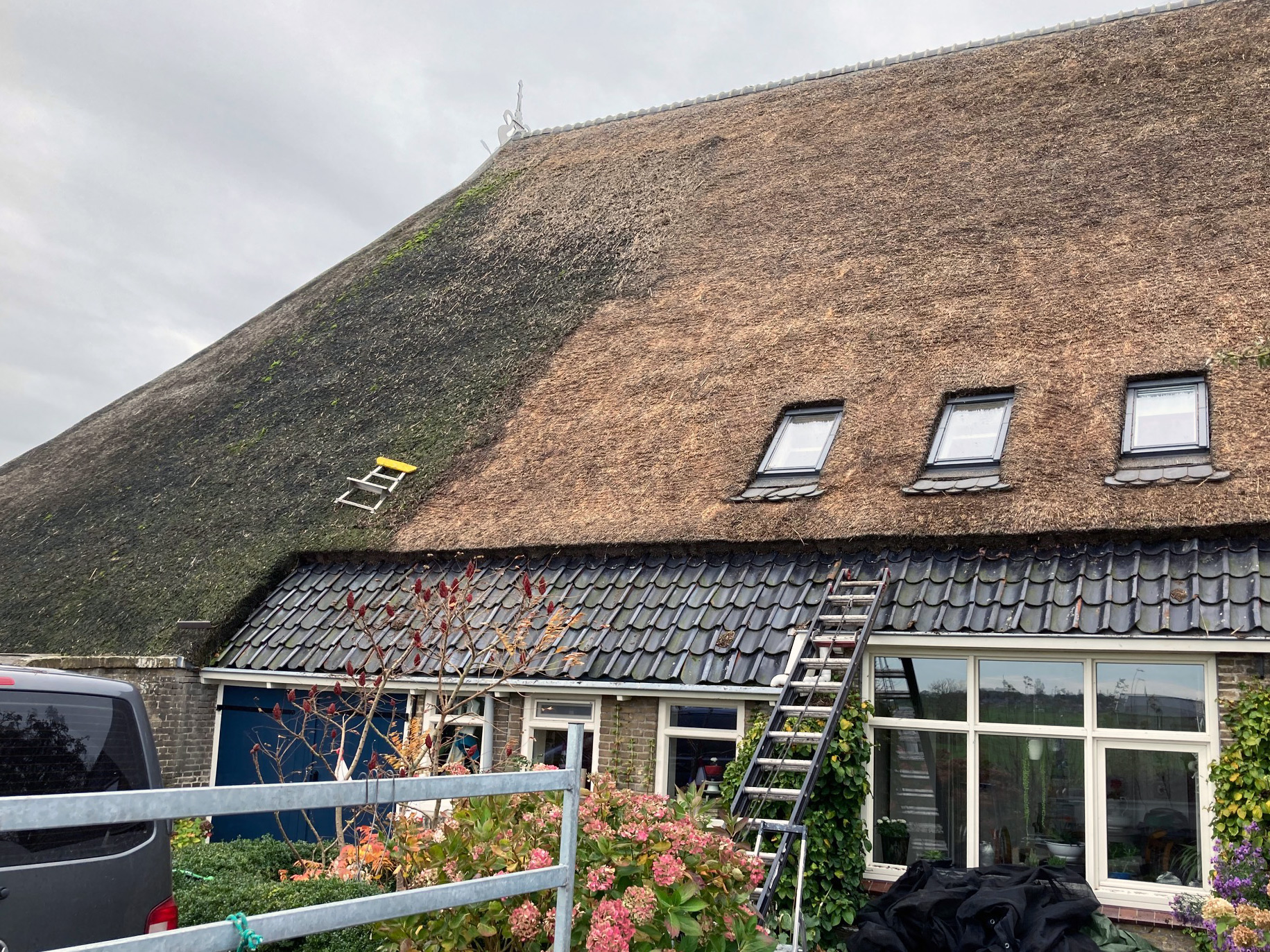 Reinigen van groot rietendak